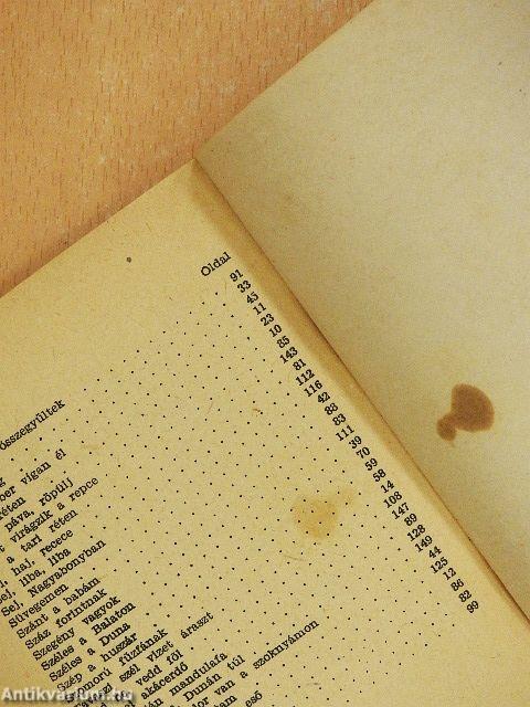 Tiszán innen Dunán túl