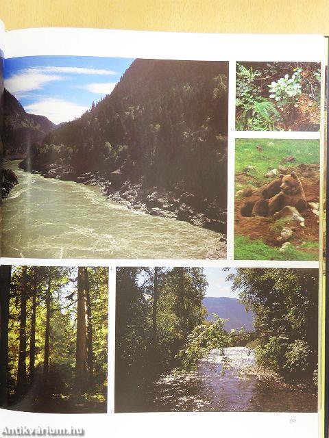 Észak-Amerika - CD-vel