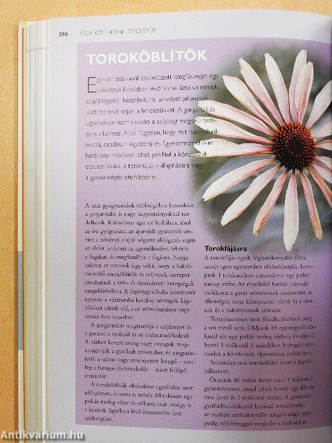 1001 otthoni gyógyír