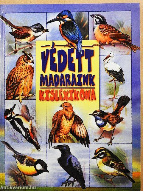 Védett madaraink kislexikona