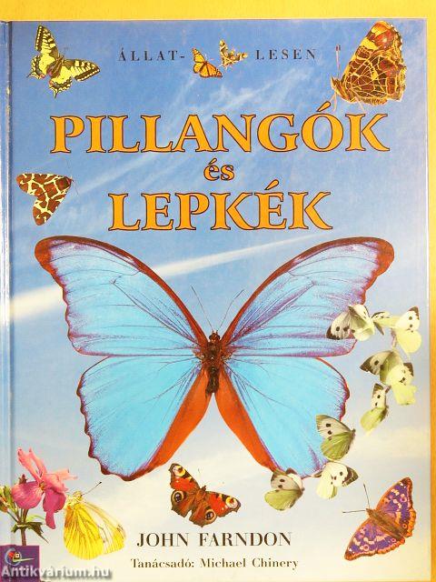 Pillangók és lepkék