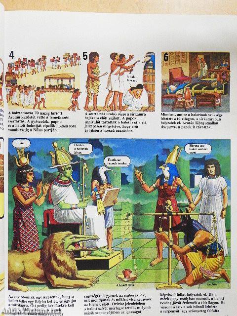 Az emberiség története gyermekeknek