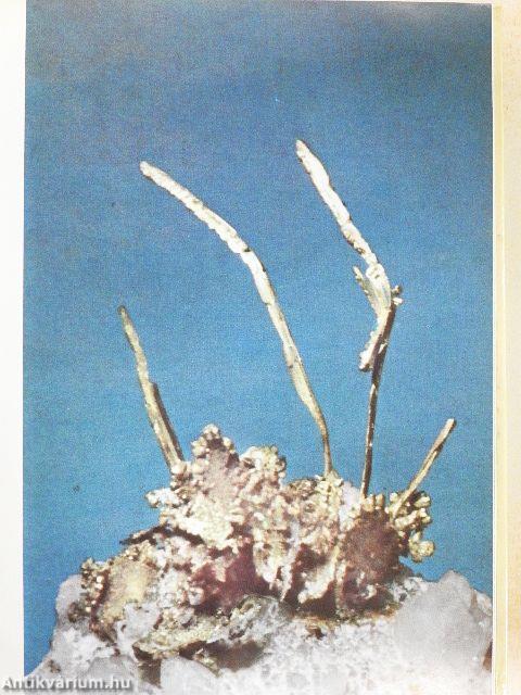 Színes ásványvilág