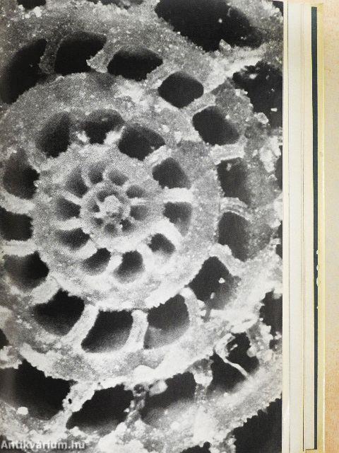 Színes ásványvilág