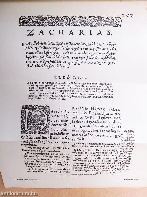 A magyar irodalom története I-II.