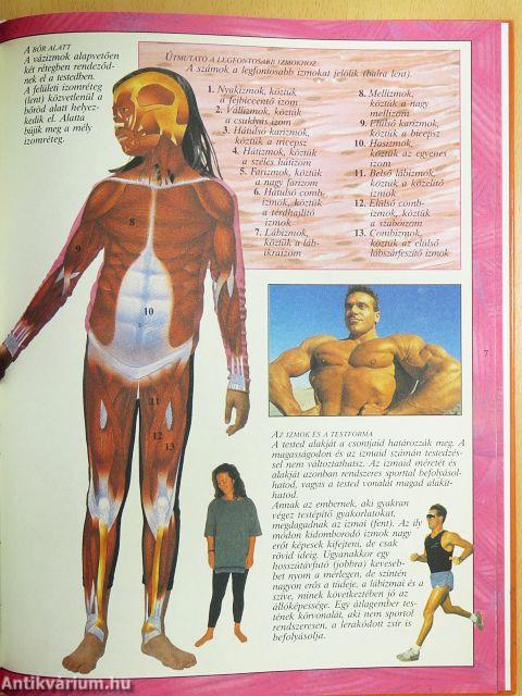 Az emberi test enciklopédiája II.