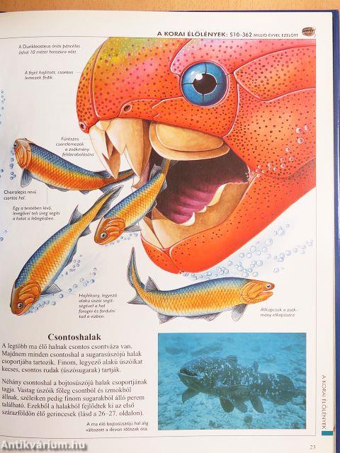 A Föld őstörténete