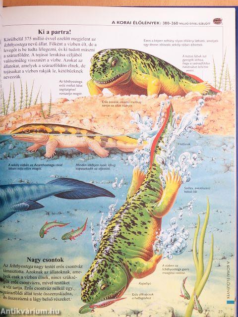 A Föld őstörténete