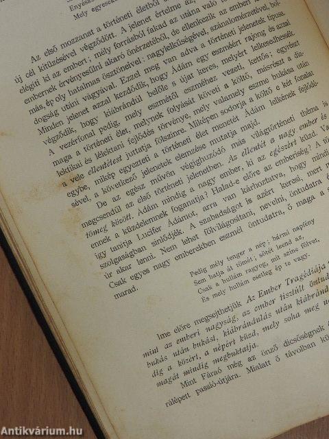 A magyar irodalom története I-II.