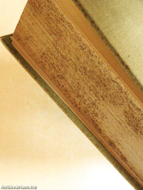 Magyar-orosz szótár