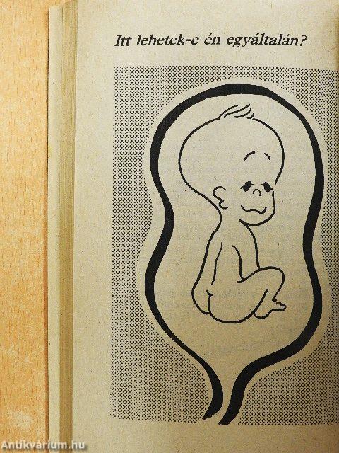 Hahó, megérkeztem!