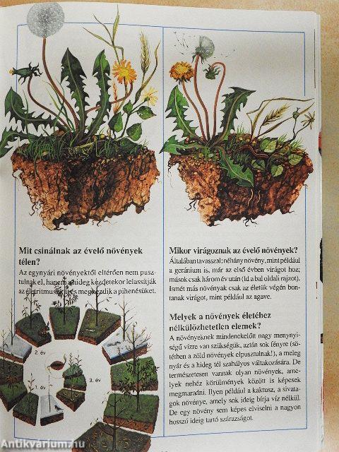 1000 kérdés 1000 válasz