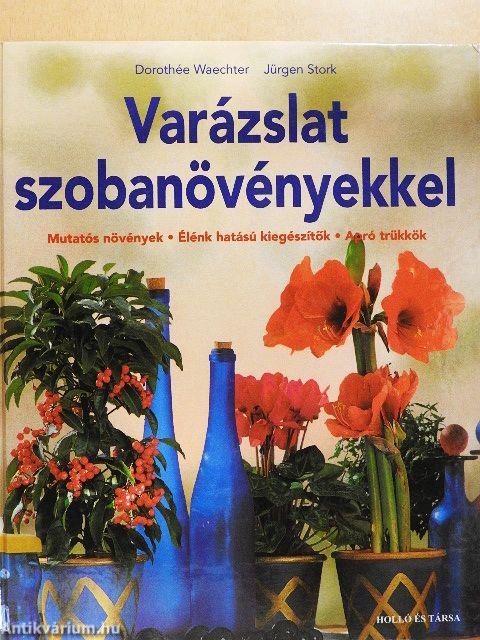 Varázslat szobanövényekkel