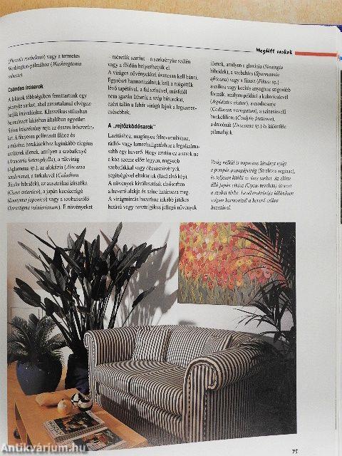 Varázslat szobanövényekkel