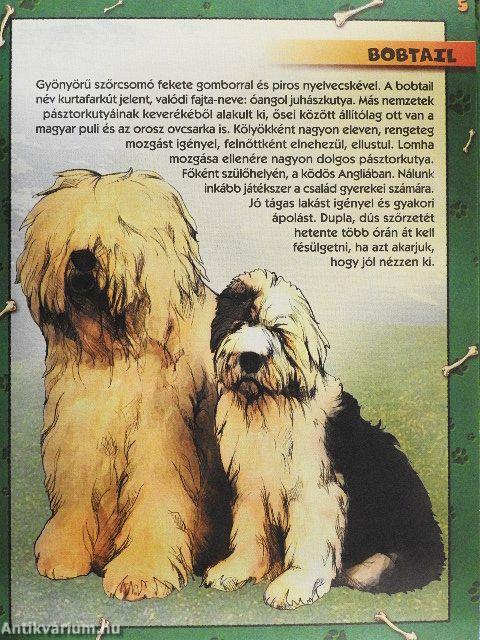 Kutyafajták képeskönyve