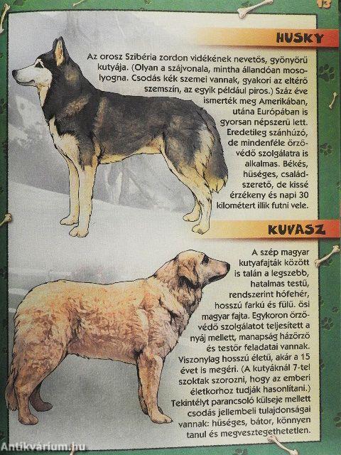 Kutyafajták képeskönyve