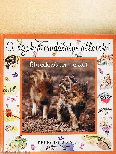 Ébredező természet