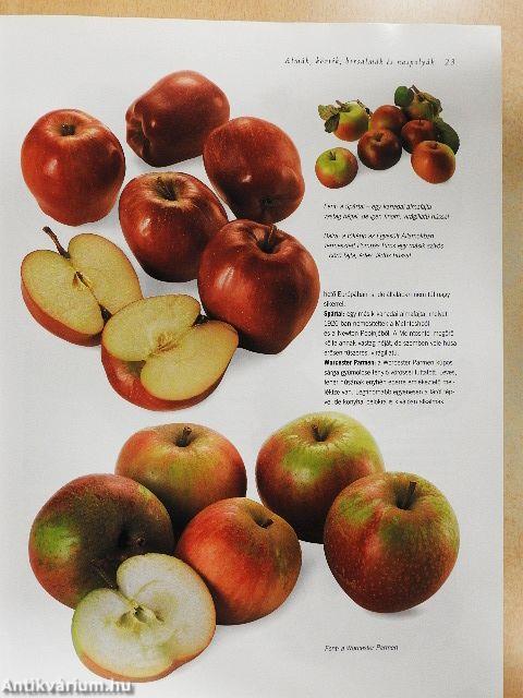 Gyümölcsenciklopédia