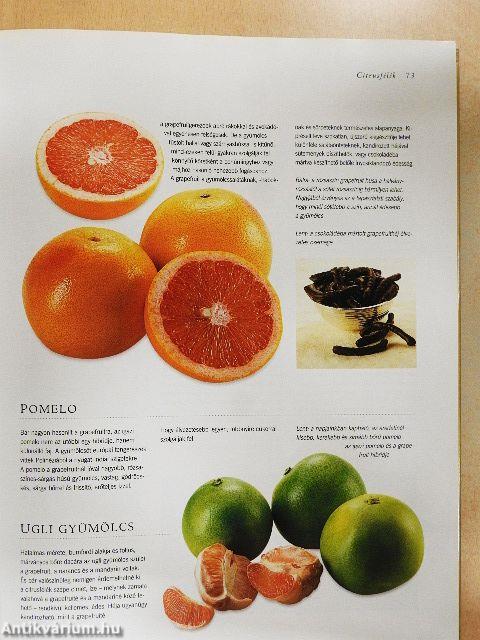 Gyümölcsenciklopédia