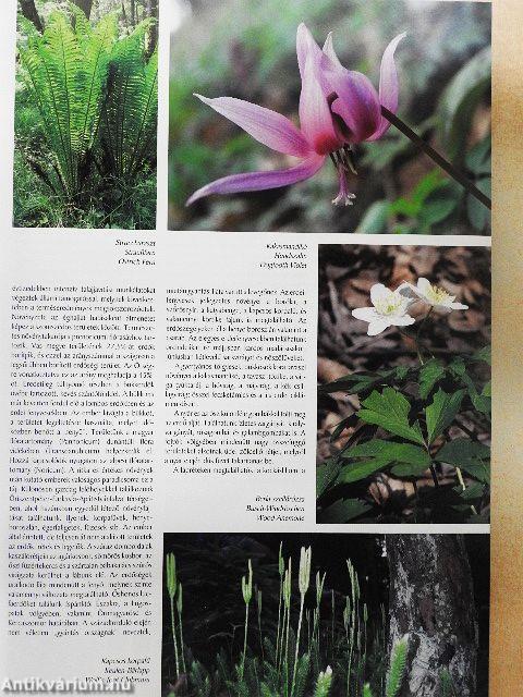 Vallomás az Őrségről