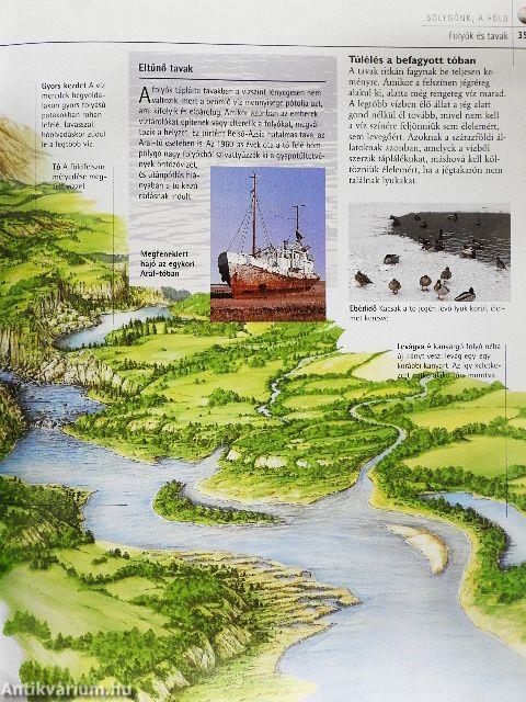 Ámulatba ejtő valóság