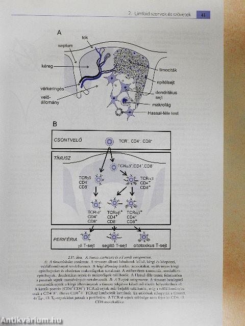 Immunbiológia