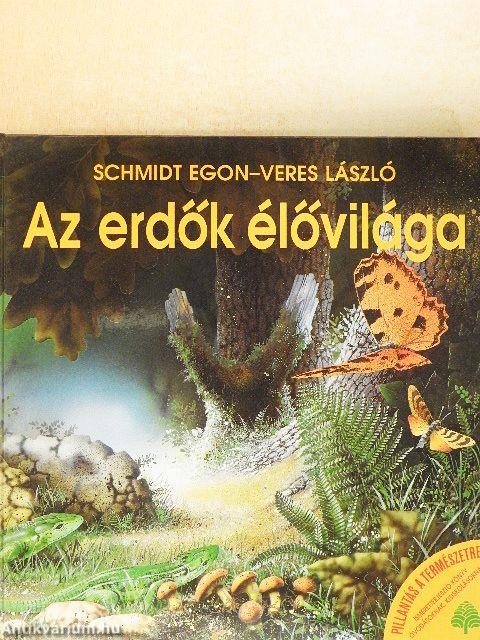 Az erdők élővilága