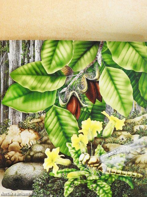 Az erdők élővilága