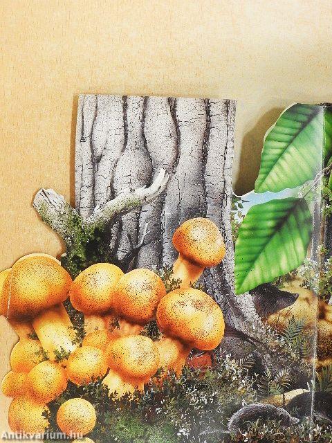 Az erdők élővilága