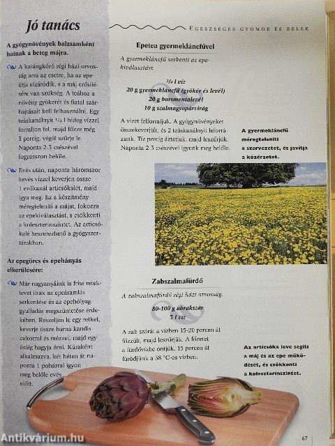 Nagymama házipraktikái 