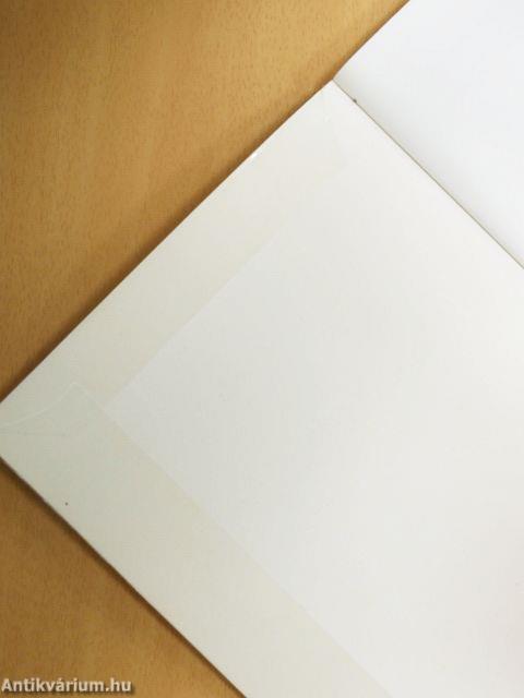 A képzelet világa 8.