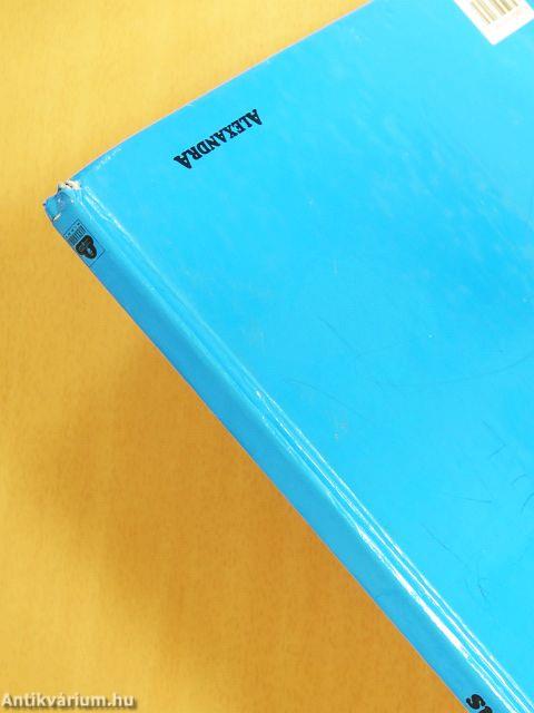 Karácsonyi várakozás