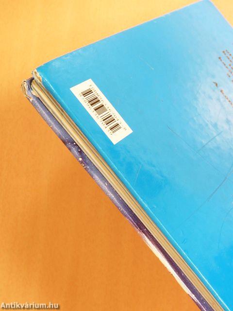 Karácsonyi várakozás