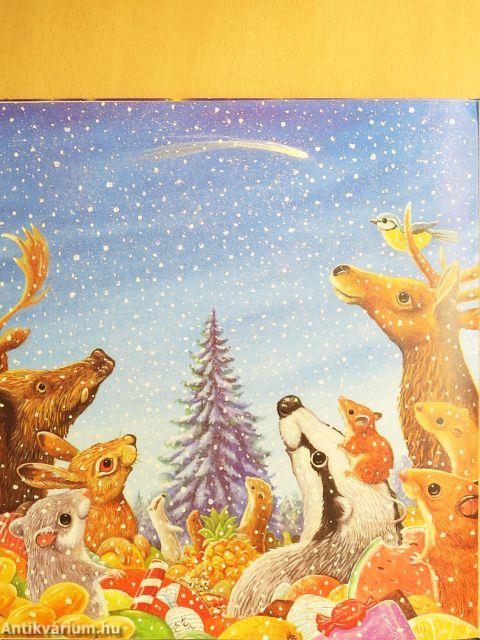 Karácsonyi várakozás