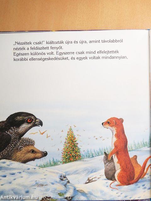 Karácsonyi várakozás