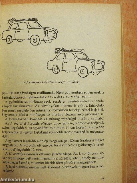 Kiskerti tanácsadó