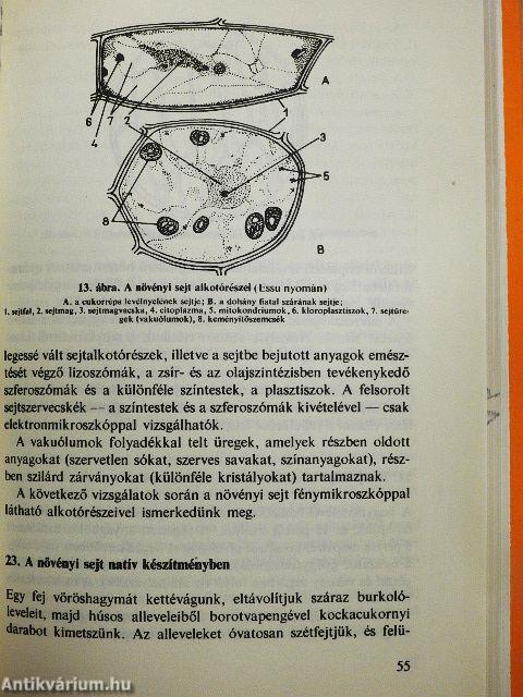 A mikroszkóp használata