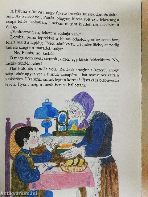 Kincskereső kisködmön