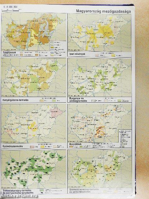 Középiskolai földrajzi atlasz