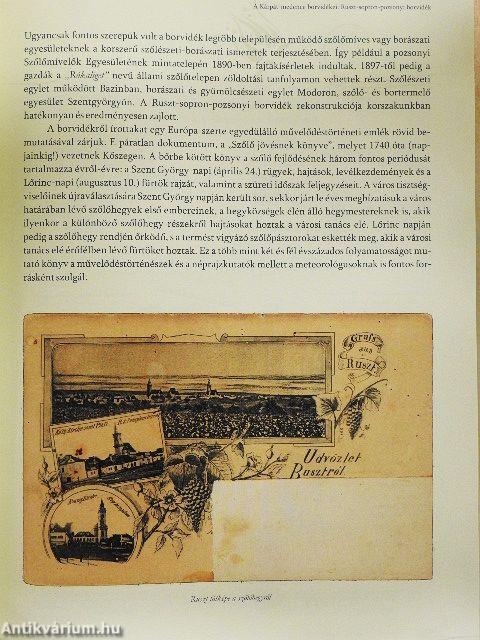 Hajdanvolt szüretek, zsendülő gerezdek