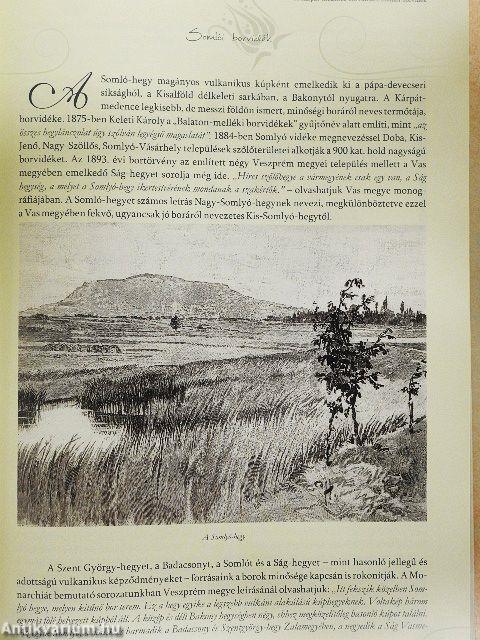 Hajdanvolt szüretek, zsendülő gerezdek