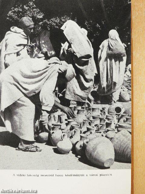 Sivatag és tenger között