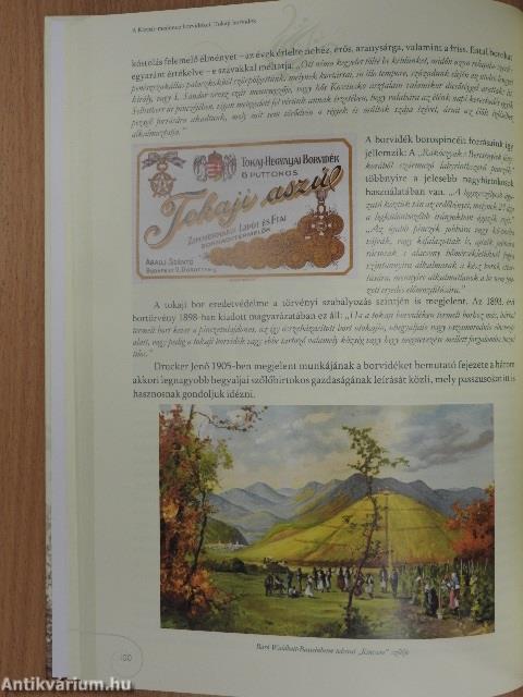 Hajdanvolt szüretek, zsendülő gerezdek