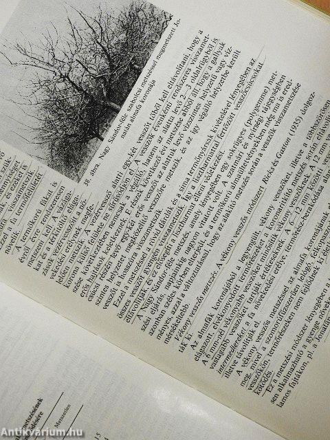 A gyümölcstermesztés technológiája