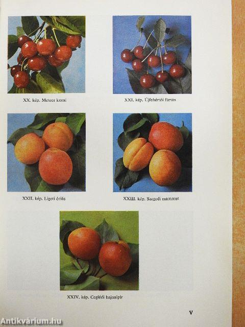 A gyümölcstermesztés technológiája