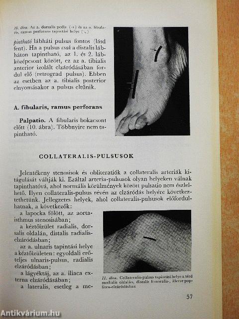 Az angiologia alapjai