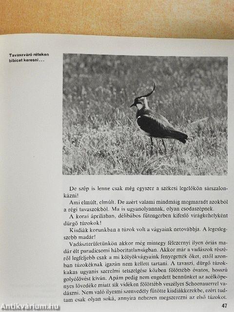 Őszi vizeken