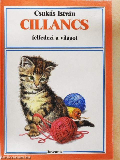 Cillancs felfedezi a világot