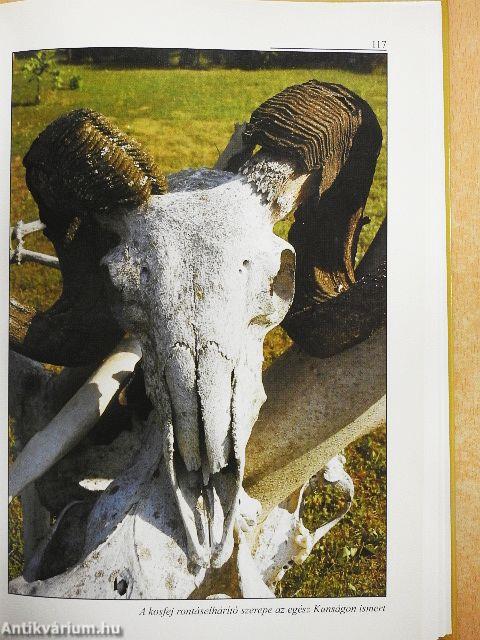 Nagykunsági néprajzi tanulmányok