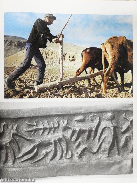 A civilizáció hajnala